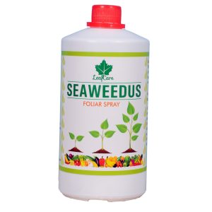 Seaweedus Foliar Spray